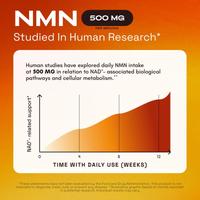 NMN 1000 mg – Suplemento de NAD 4 en 1 con Quercetina | TMG | Resveratrol