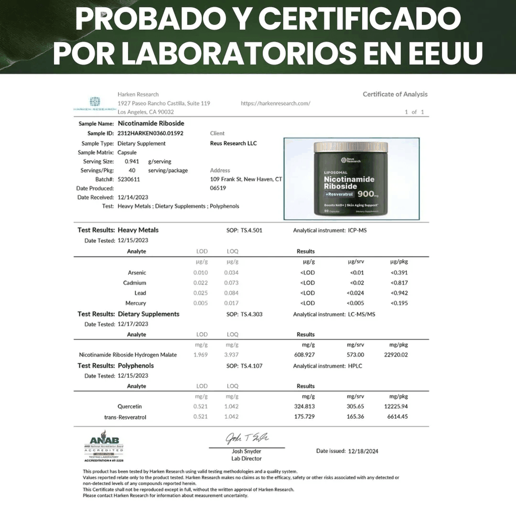 REUS Research product design details