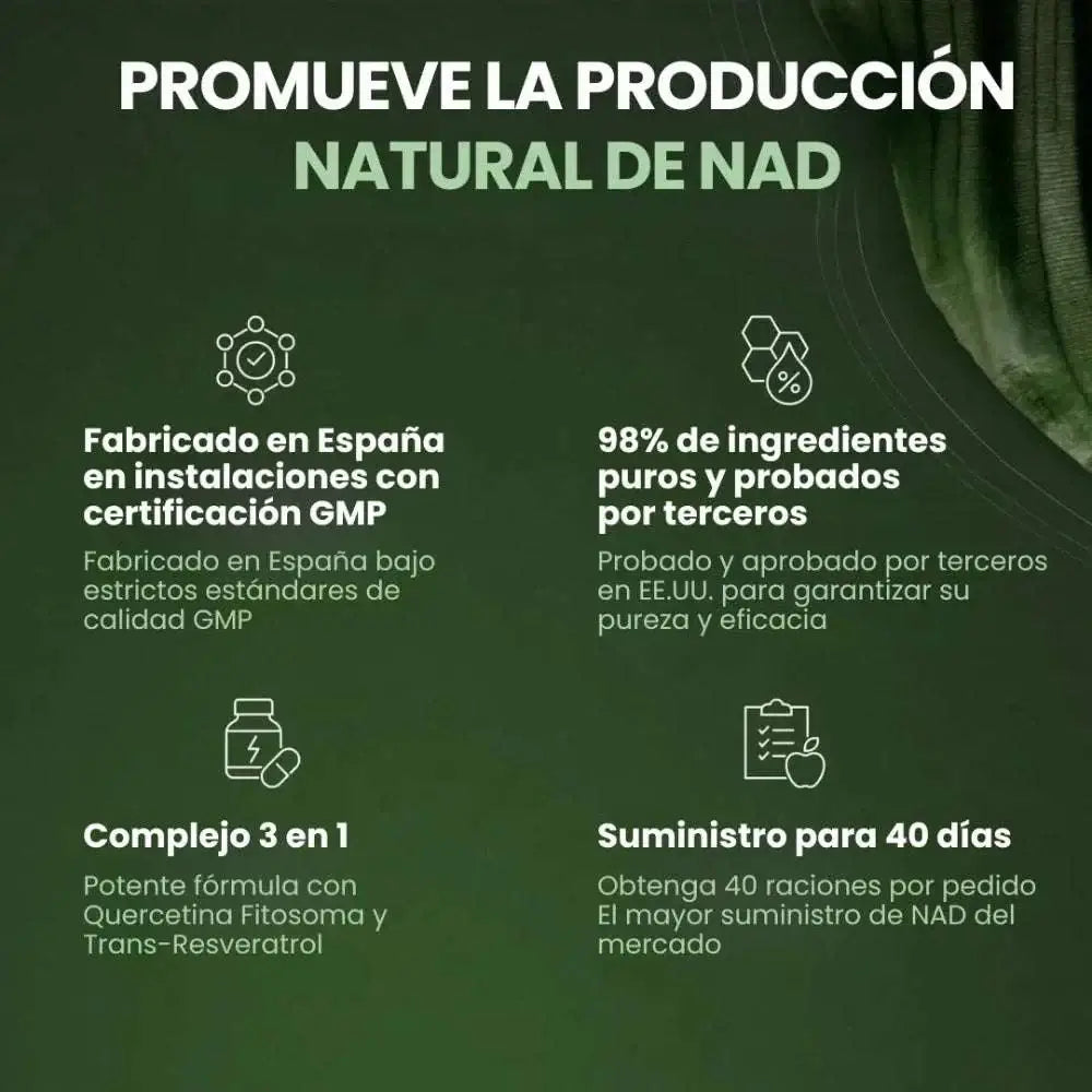 REUS Research premium product